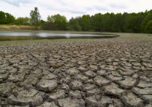 Drought Lowers Water Table