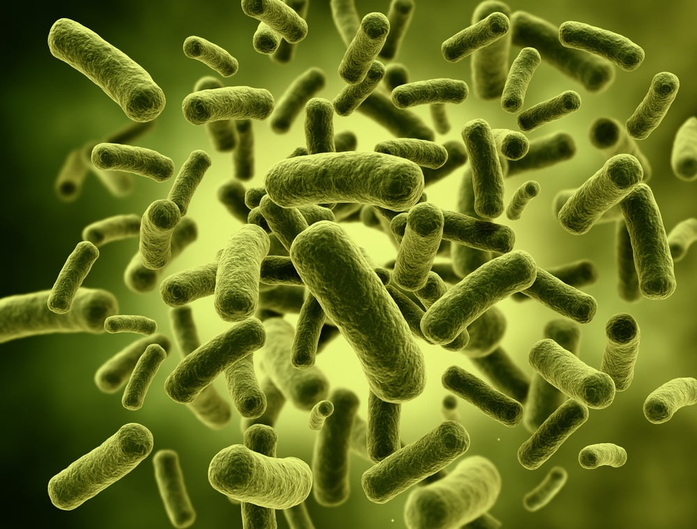coliform bacteria